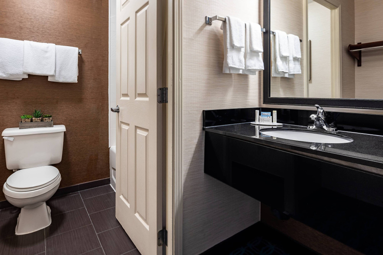 Bathroom 4, Fairfield Inn by Marriott Charlotte Northlake, Mecklenburg