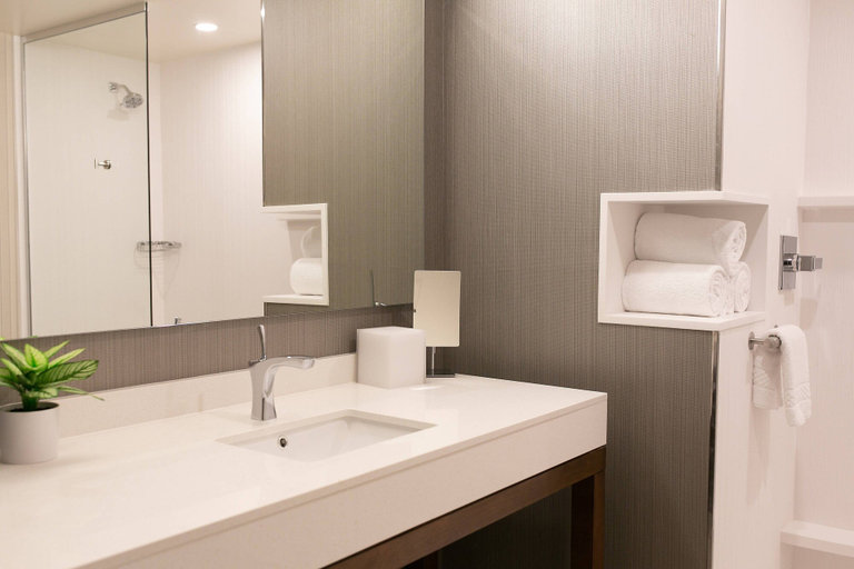 Bathroom, Courtyard by Marriott Elkhart, Elkhart