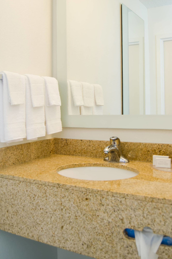 Bathroom 4, SpringHill Suites Baton Rouge South, East Baton Rouge
