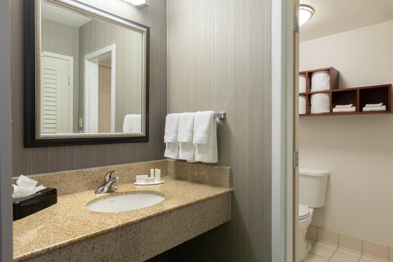 Bathroom 3, Courtyard Atlanta Windy Hill Ballpark, Cobb