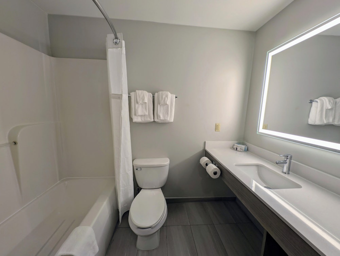 Bathroom 4, Holiday Inn CARBONDALE-CONFERENCE CENTER by IHG, Jackson
