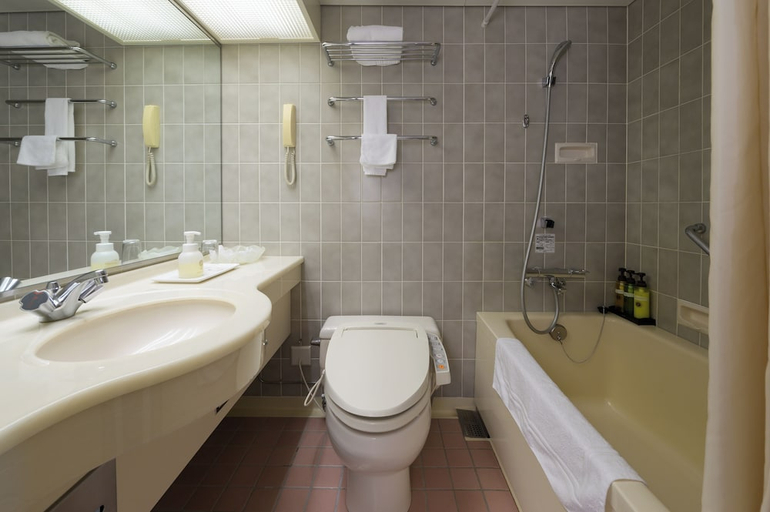 Bathroom 3, Aomori Hotel, Aomori