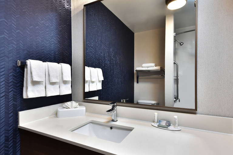 Bathroom 5, Fairfield Inn & Suites by Marriott Richmond Innsbrook, Henrico