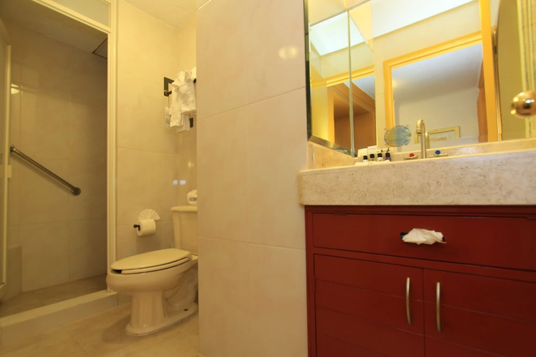 Bathroom 4, La Casona de Don Lucas, Guanajuato
