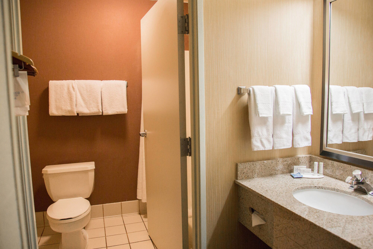 Bathroom 2, Fairfield Inn By Marriott St George, Washington