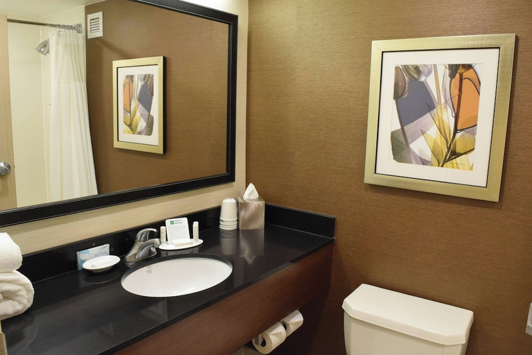 Bathroom 5, Fairfield Inn By Marriott Binghamton, Broome