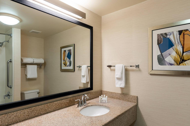 Bathroom 3, Fairfield Inn & Suites By Marriott Atlanta Stonecrest, DeKalb