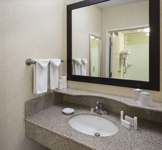 Bathroom 4, SpringHill Suites by Marriott Indianapolis Fishers, Hamilton