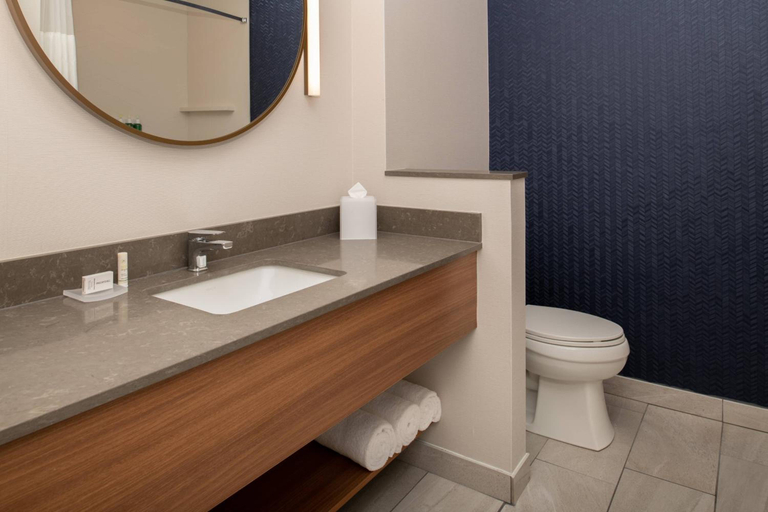 Bathroom 4, Fairfield Inn & Suites by Marriott Wenatchee, Douglas