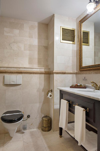 Bathroom 4, Chatto Hotel, Gebze