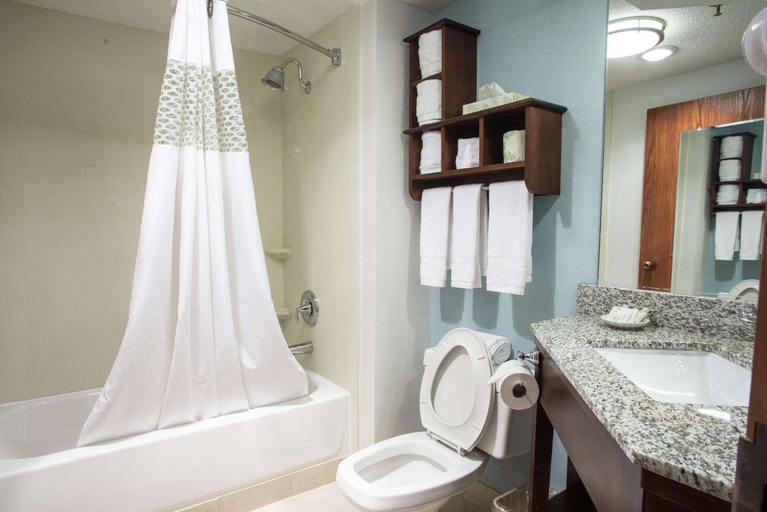 Bathroom 4, The Hotel@Dayton South, Montgomery