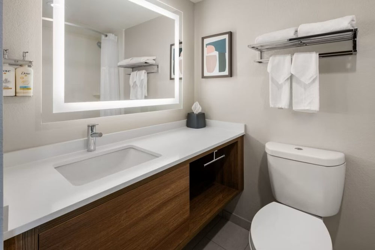 Others 5, Holiday Inn & Suites Columbia NE - Ft Jackson Area by IHG, Richland