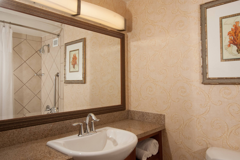 Bathroom 5, Courtyard Miami in Coral Gables by Marriott, Miami-Dade