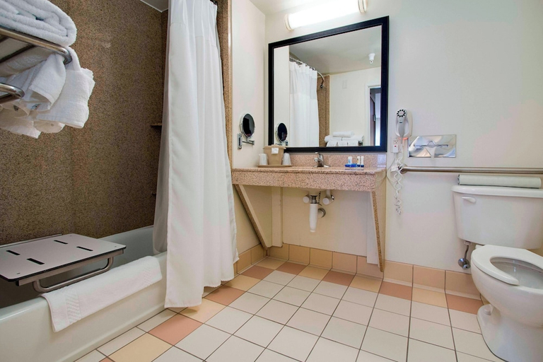 Bathroom 4, Fairfield Inn & Suites Clermont, Lake