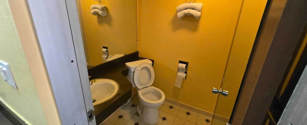 Bathroom 2, Sunset Inn Manning I 95, Clarendon