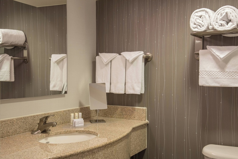 Bathroom 5, Courtyard by Marriott Chapel Hill, Orange