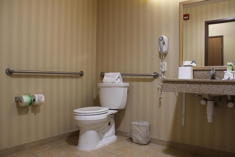 Bathroom 4, Holiday Inn Express & Suites TEHACHAPI HWY 58/MILL ST. by IHG, Kern