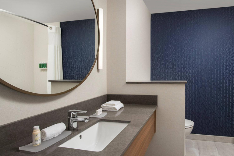 Bathroom 3, Fairfield Inn & Suites by Marriott Nashville Near Vanderbilt, Davidson