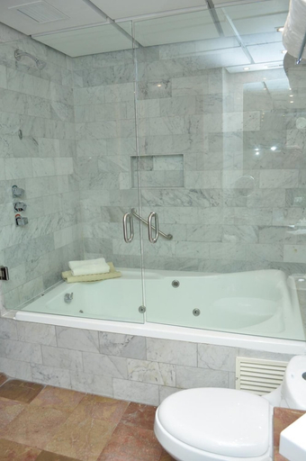 Bathroom 5, Royal Pedregal Hotel, Mexico City