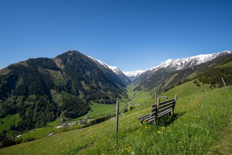 Others 5, Hochalmbahnen Chalets 1-01, Alpenglocke, nahe Gondel, Hunde willkommen, Zell am See