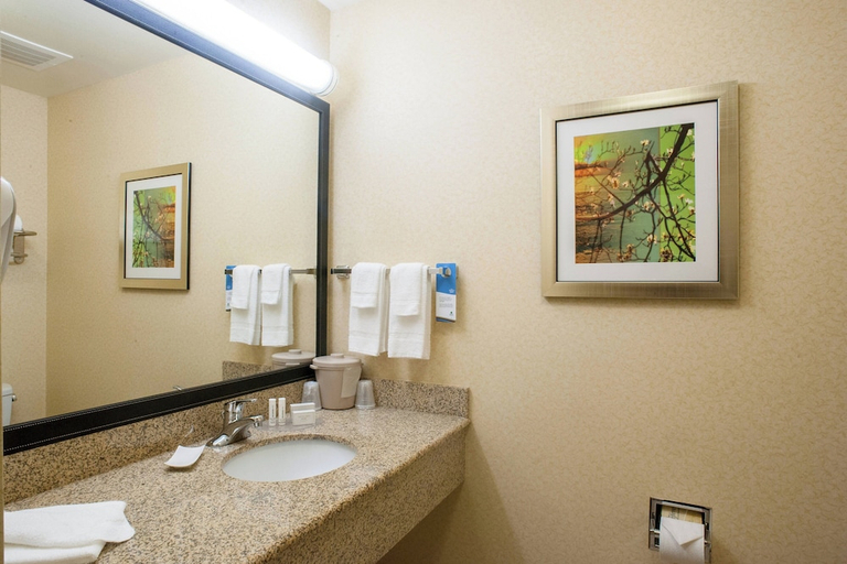 Bathroom 4, Fairfield Inn Suites Clovis, Curry