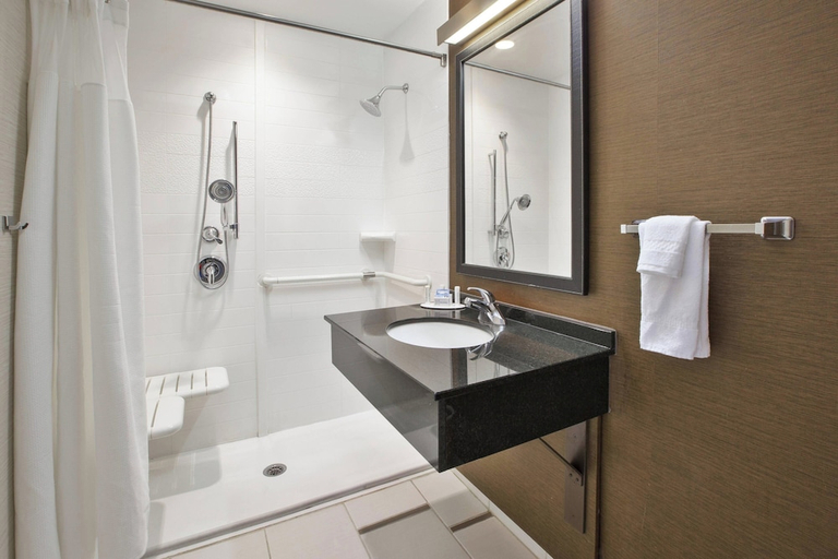 Bathroom 3, Fairfield Inn Suites Milwaukee Downtown, Milwaukee