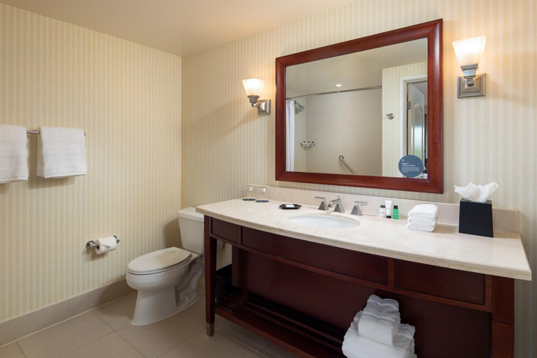 Bathroom 4, SHERATON CARLSBAD RESORT SPA, San Diego