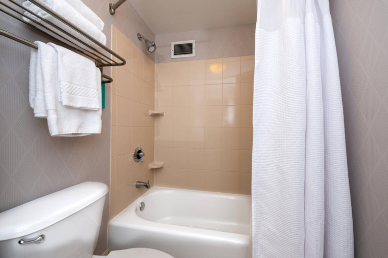 Bathroom 3, Springhill Suites Pittsburgh North Shore, Allegheny