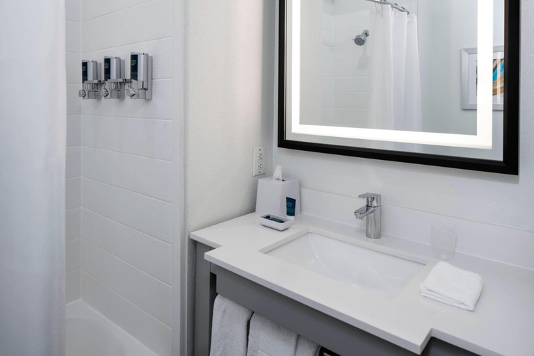 Bathroom 4, Four Points by Sheraton Dallas Arlington Entertainment District, Arlington