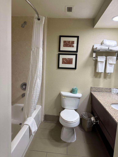 Bathroom 4, Vista Suites Pigeon Forge, Sevier