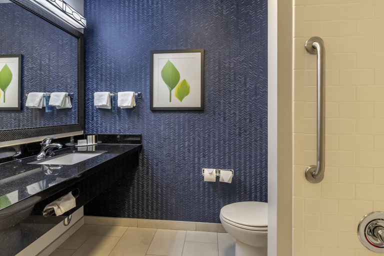 Bathroom 3, Fairfield Inn Suites Texarkana, Bowie