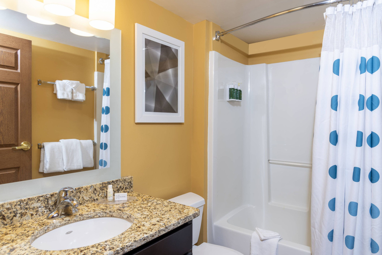 Bathroom 4, TownePlace Suites East Lansing, Ingham