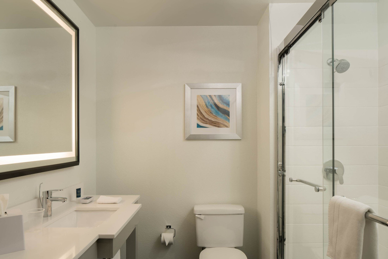 Bathroom 4, Four Points by Sheraton Dallas Arlington Entertainment District, Arlington
