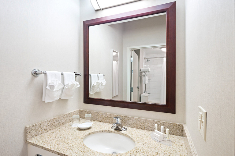 Bathroom 4, SpringHill Suites by Marriott Denver Airport, Denver