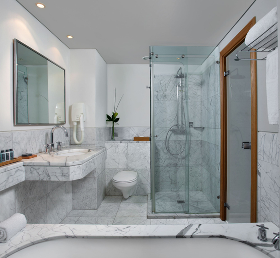 Bathroom 4, Isrotel Royal Beach, Aqaba