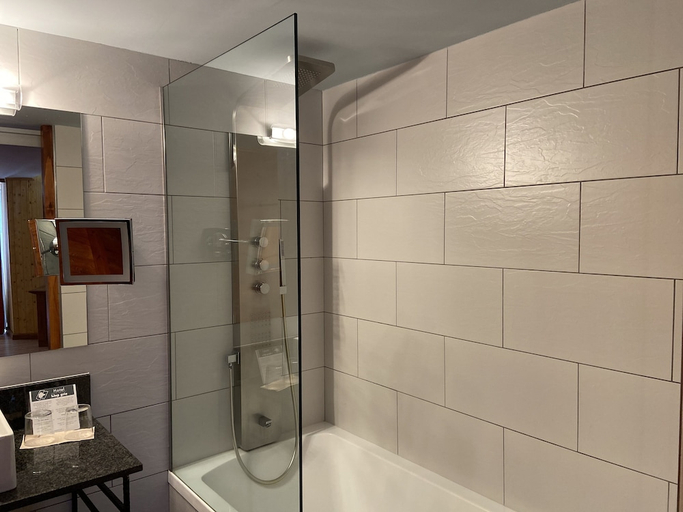 Bathroom 4, Llop Gris