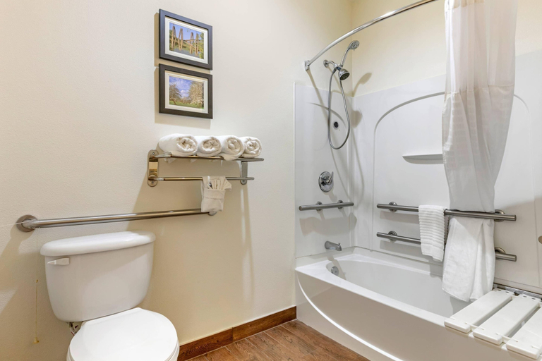 Bathroom 4, Comfort Suites Batesville, Independence