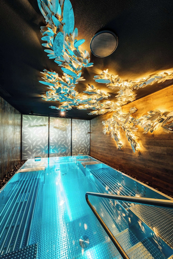 Sport & Beauty 2, Radisson Blu Carlton Hotel, Bratislava, Bratislava I