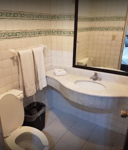 Bathroom 3, Hotel Urdinola, Saltillo