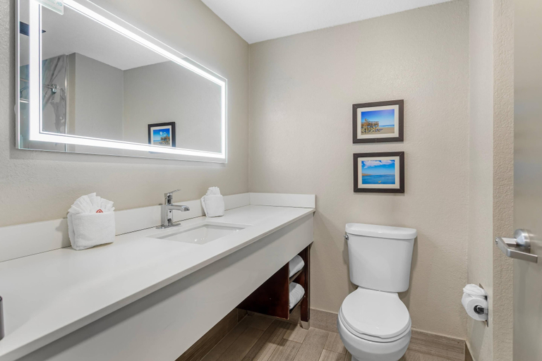 Bathroom 5, Comfort Suites West Jacksonville, Duval