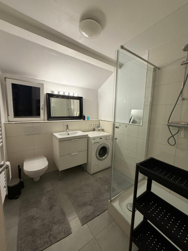 Bathroom 2, Bluestone Appartments - 26qm free and near parking, Alb-Donau-Kreis