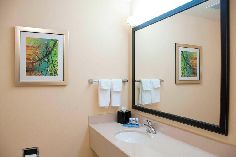 Bathroom, FAIRFIELD INN SUITES AMES, Story