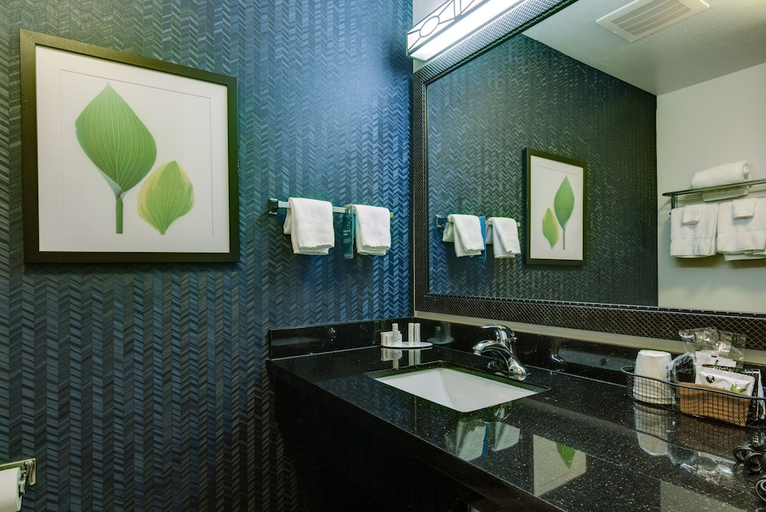 Bathroom 5, Fairfield Inn Suites Texarkana, Bowie