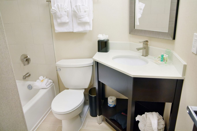 Bathroom 4, Holiday Inn Charlotte-Airport Conf Ctr by IHG, Mecklenburg