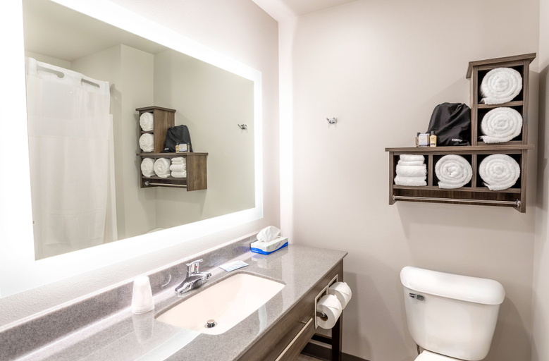 Bathroom 4, My Place Hotel - Huntersville, NC, Mecklenburg