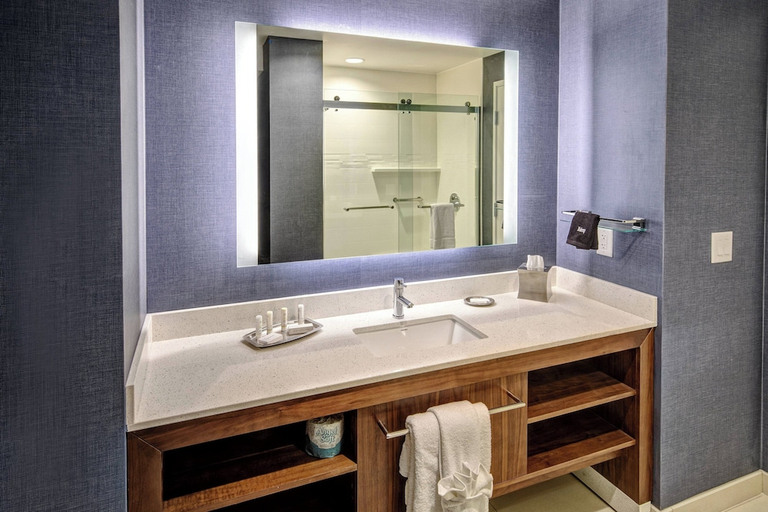 Bathroom 3, Residence Inn Nashville Green Hills, Davidson