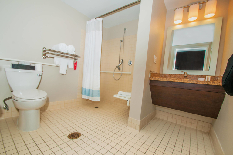 Bathroom 4, TownePlace Suites Scranton Wilkes-Barre, Lackawanna