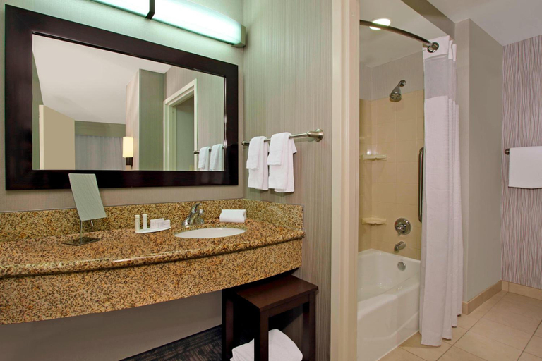 Bathroom 3, Courtyard Atlanta Airport West, Fulton