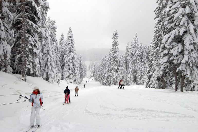 Others 2, Ferko Ilgaz Mountain Resort, İhsangazi