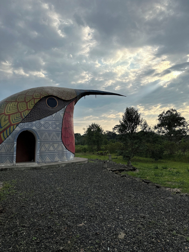 Miscellaneous 4, Animal Glamping, Pastaza